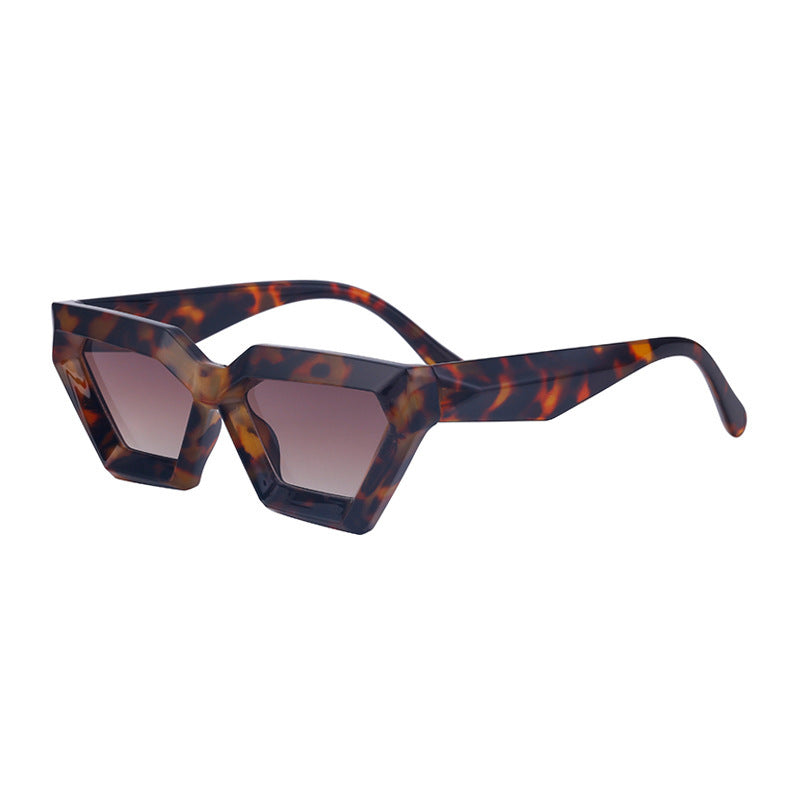 Small Frame Sunglasses Irregular Cat Eye Sunglasses