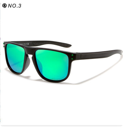 Polarized sunglasses